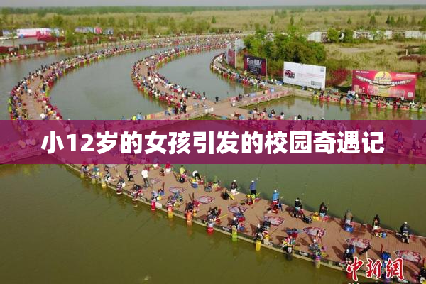 小12岁的女孩引发的校园奇遇记