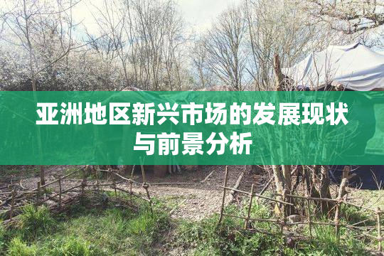 亚洲地区新兴市场的发展现状与前景分析