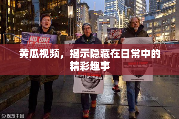 黄瓜视频，揭示隐藏在日常中的精彩趣事