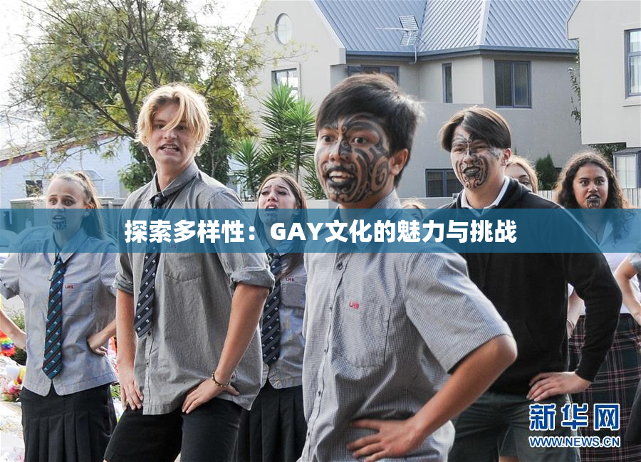 探索多样性：GAY文化的魅力与挑战
