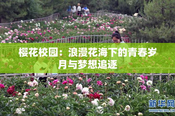 樱花校园：浪漫花海下的青春岁月与梦想追逐