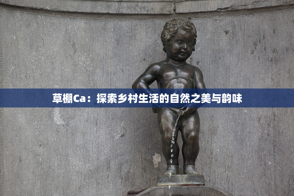 草棚Ca：探索乡村生活的自然之美与韵味