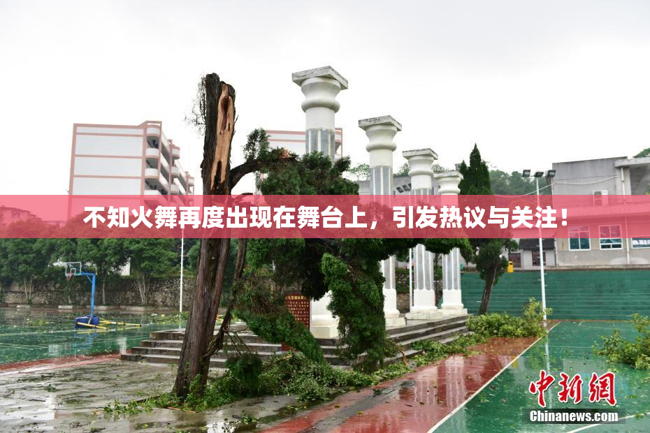 不知火舞再度出现在舞台上，引发热议与关注！