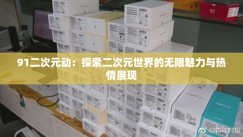 91二次元动：探索二次元世界的无限魅力与热情展现