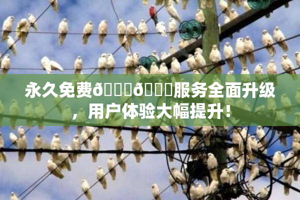 永久免费🔞🔞服务全面升级，用户体验大幅提升！