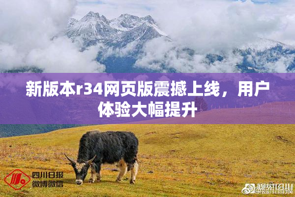 新版本r34网页版震撼上线，用户体验大幅提升