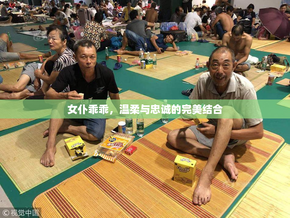 女仆乖乖，温柔与忠诚的完美结合