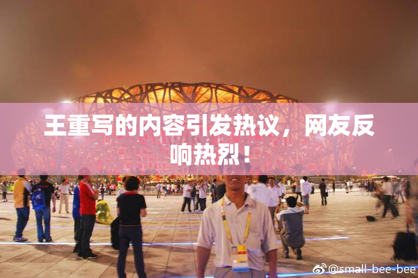 王重写的内容引发热议，网友反响热烈！