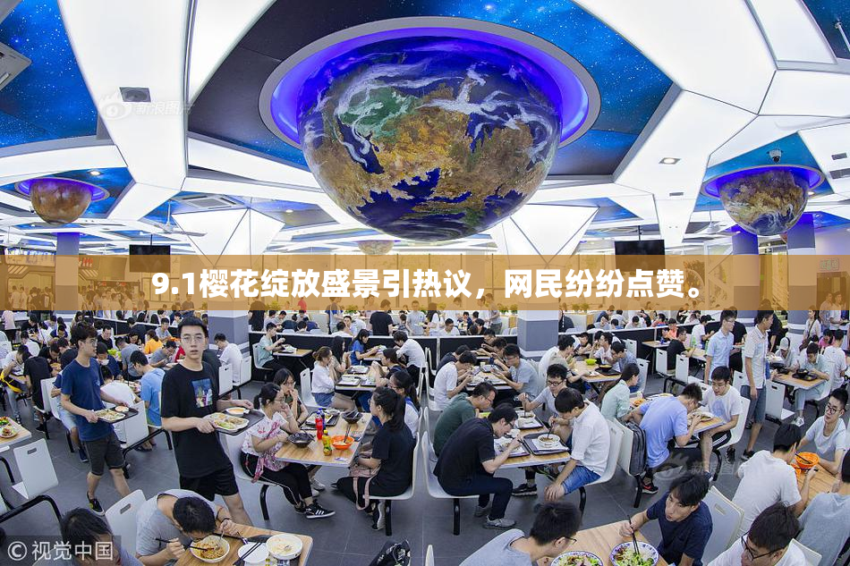 9.1樱花绽放盛景引热议，网民纷纷点赞。