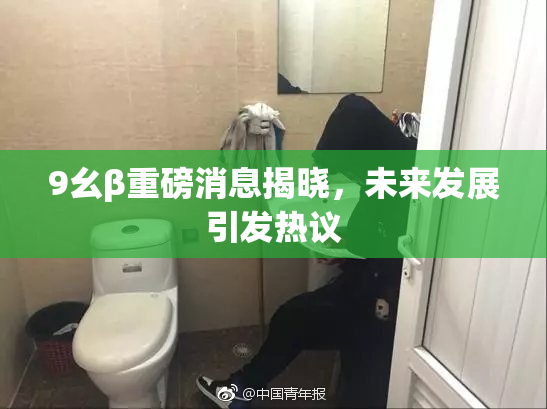 9幺β重磅消息揭晓，未来发展引发热议