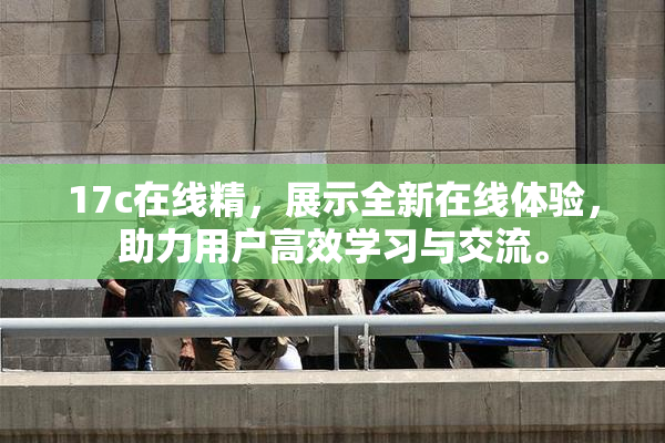 17c在线精，展示全新在线体验，助力用户高效学习与交流。