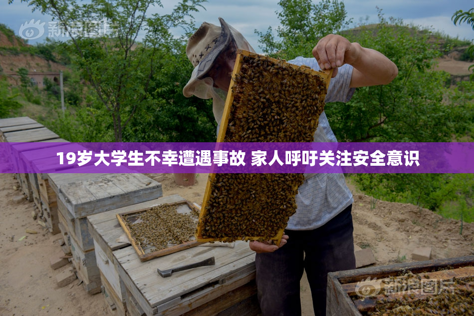 19岁大学生不幸遭遇事故 家人呼吁关注安全意识
