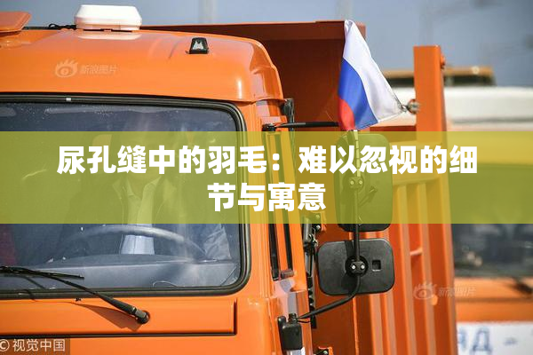 尿孔缝中的羽毛：难以忽视的细节与寓意