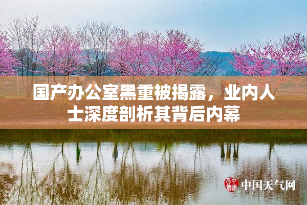 国产办公室黑重被揭露，业内人士深度剖析其背后内幕