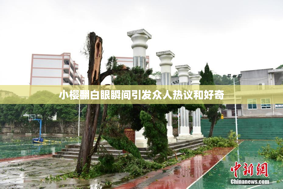 小樱翻白眼瞬间引发众人热议和好奇