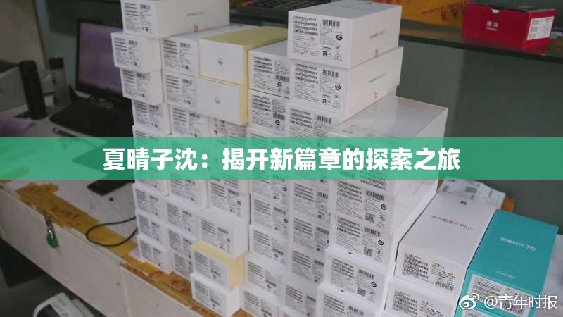 夏晴子沈：揭开新篇章的探索之旅