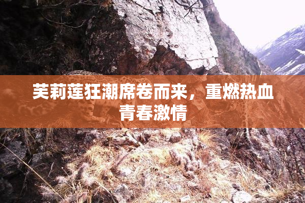 芙莉莲狂潮席卷而来，重燃热血青春激情