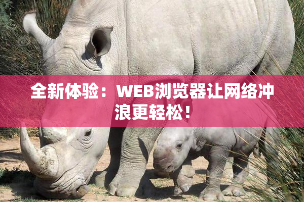 全新体验：WEB浏览器让网络冲浪更轻松！