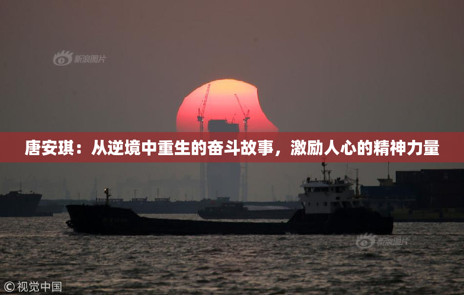 唐安琪：从逆境中重生的奋斗故事，激励人心的精神力量