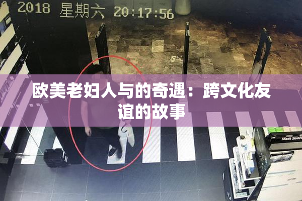 欧美老妇人与的奇遇：跨文化友谊的故事