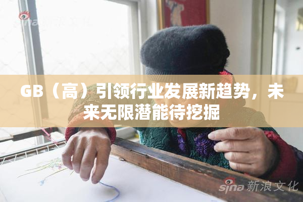 GB（高）引领行业发展新趋势，未来无限潜能待挖掘