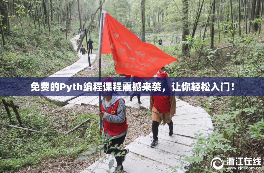 免费的Pyth编程课程震撼来袭，让你轻松入门！
