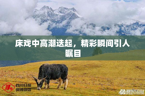 床戏中高潮迭起，精彩瞬间引人瞩目
