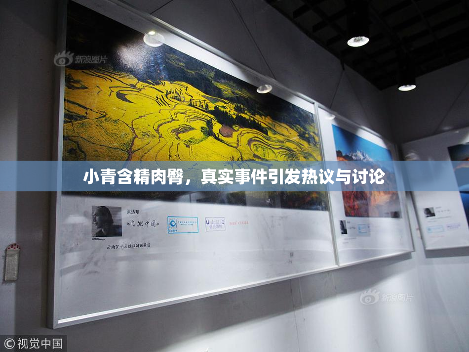 小青含精肉臀，真实事件引发热议与讨论