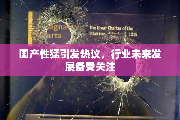 国产性猛引发热议，行业未来发展备受关注