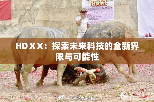HDⅩX：探索未来科技的全新界限与可能性