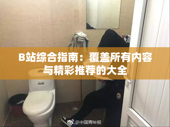 B站综合指南：覆盖所有内容与精彩推荐的大全