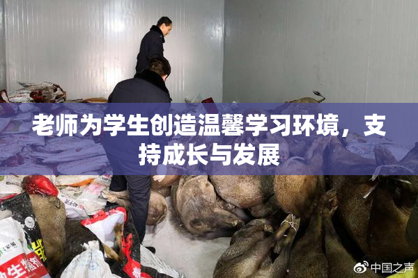 老师为学生创造温馨学习环境，支持成长与发展