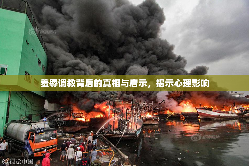 羞辱调教背后的真相与启示，揭示心理影响