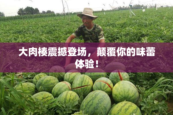 大肉楱震撼登场，颠覆你的味蕾体验！