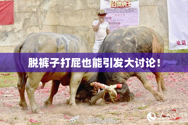脱裤子打屁也能引发大讨论！