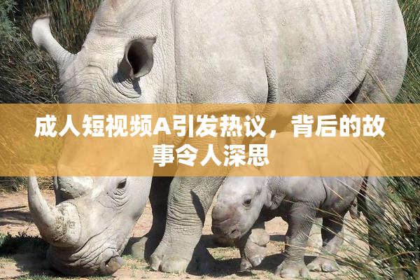 成人短视频A引发热议，背后的故事令人深思
