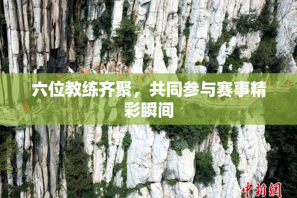 六位教练齐聚，共同参与赛事精彩瞬间