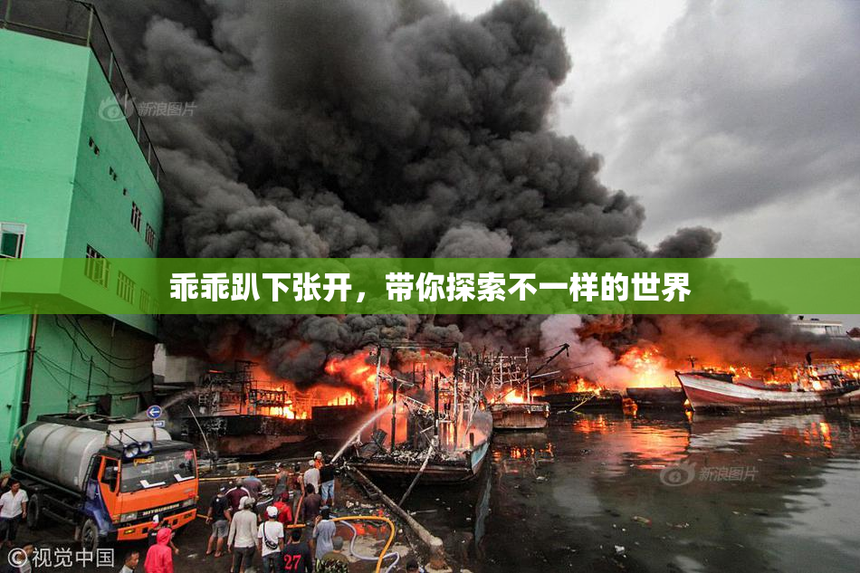 乖乖趴下张开，带你探索不一样的世界