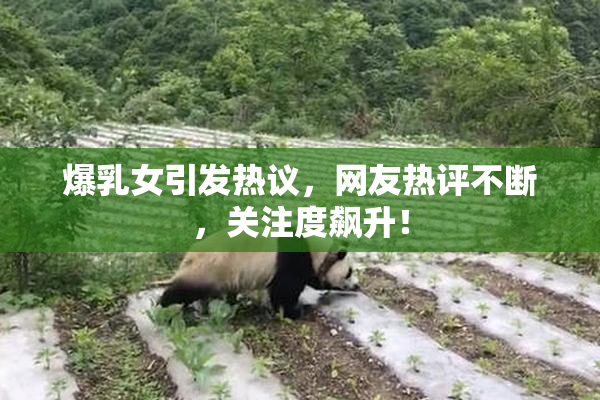 爆乳女引发热议，网友热评不断，关注度飙升！