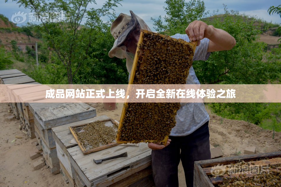 成品网站正式上线，开启全新在线体验之旅