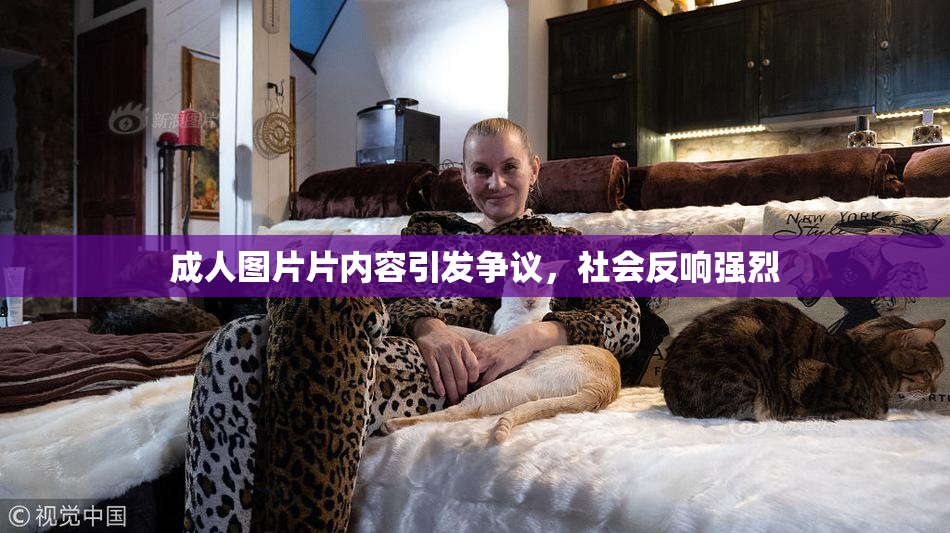 成人图片片内容引发争议，社会反响强烈