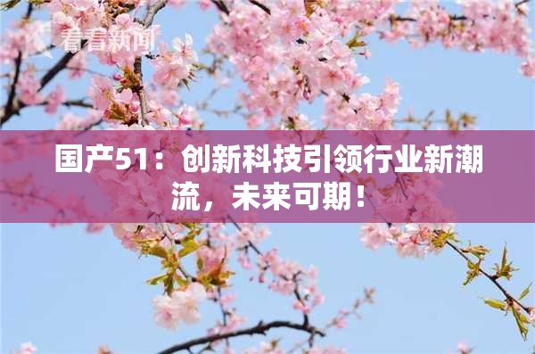 国产51：创新科技引领行业新潮流，未来可期！