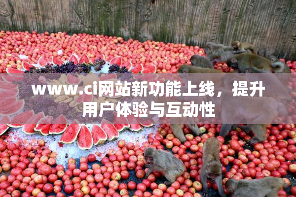 www.ci网站新功能上线，提升用户体验与互动性