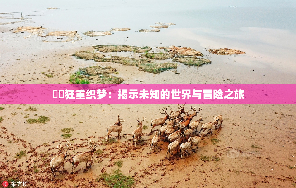 ❌‌狂重织梦：揭示未知的世界与冒险之旅