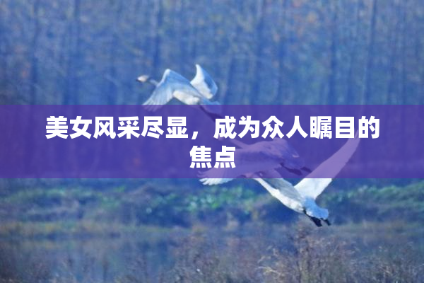 美女风采尽显，成为众人瞩目的焦点