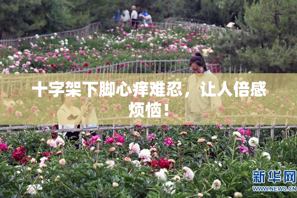 十字架下脚心痒难忍，让人倍感烦恼！