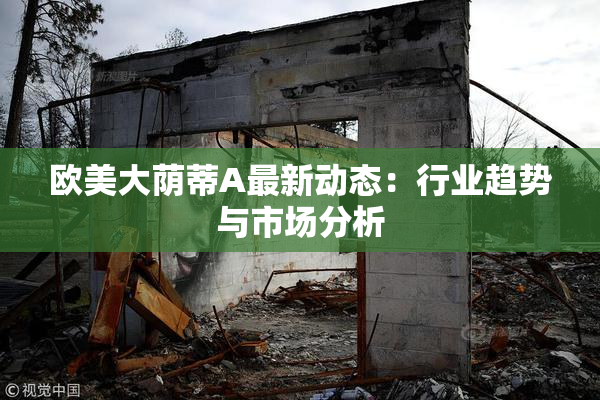 欧美大荫蒂A最新动态：行业趋势与市场分析
