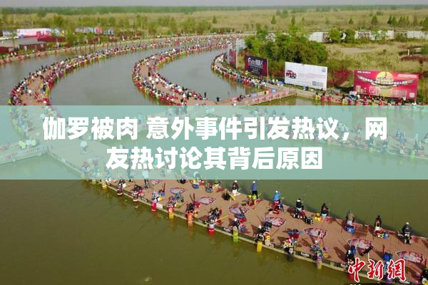 伽罗被肉 意外事件引发热议，网友热讨论其背后原因