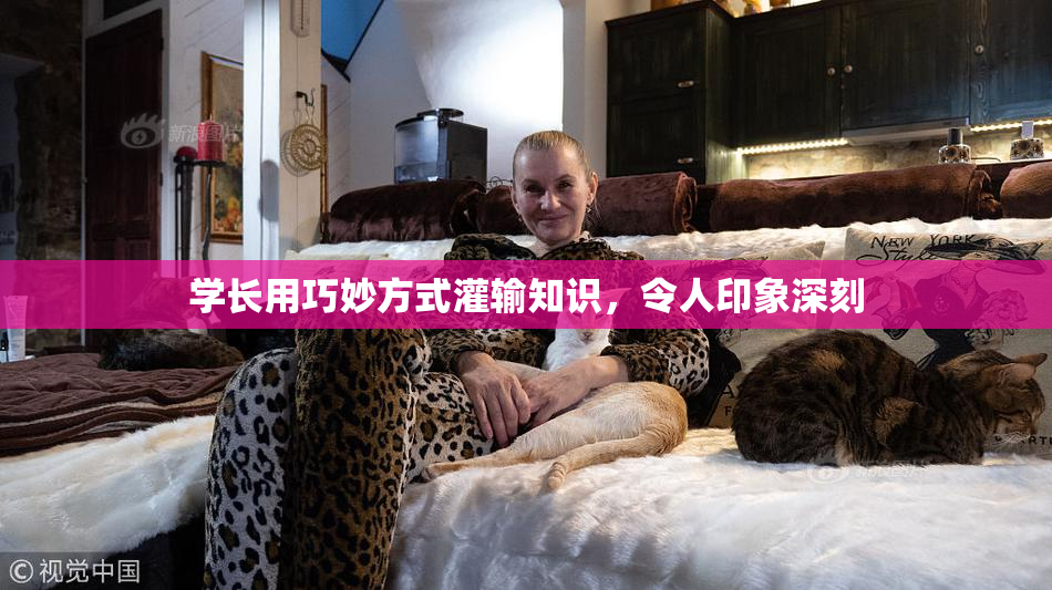 学长用巧妙方式灌输知识，令人印象深刻