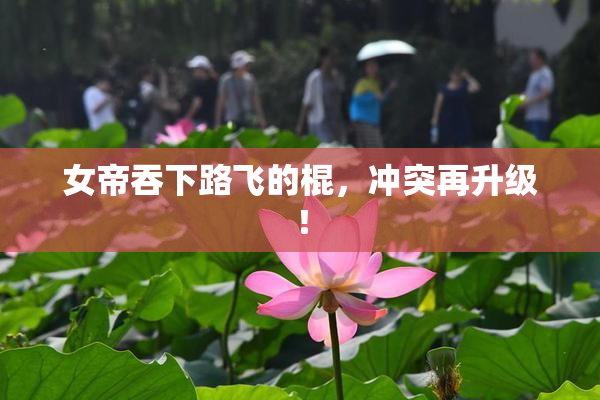 女帝吞下路飞的棍，冲突再升级！